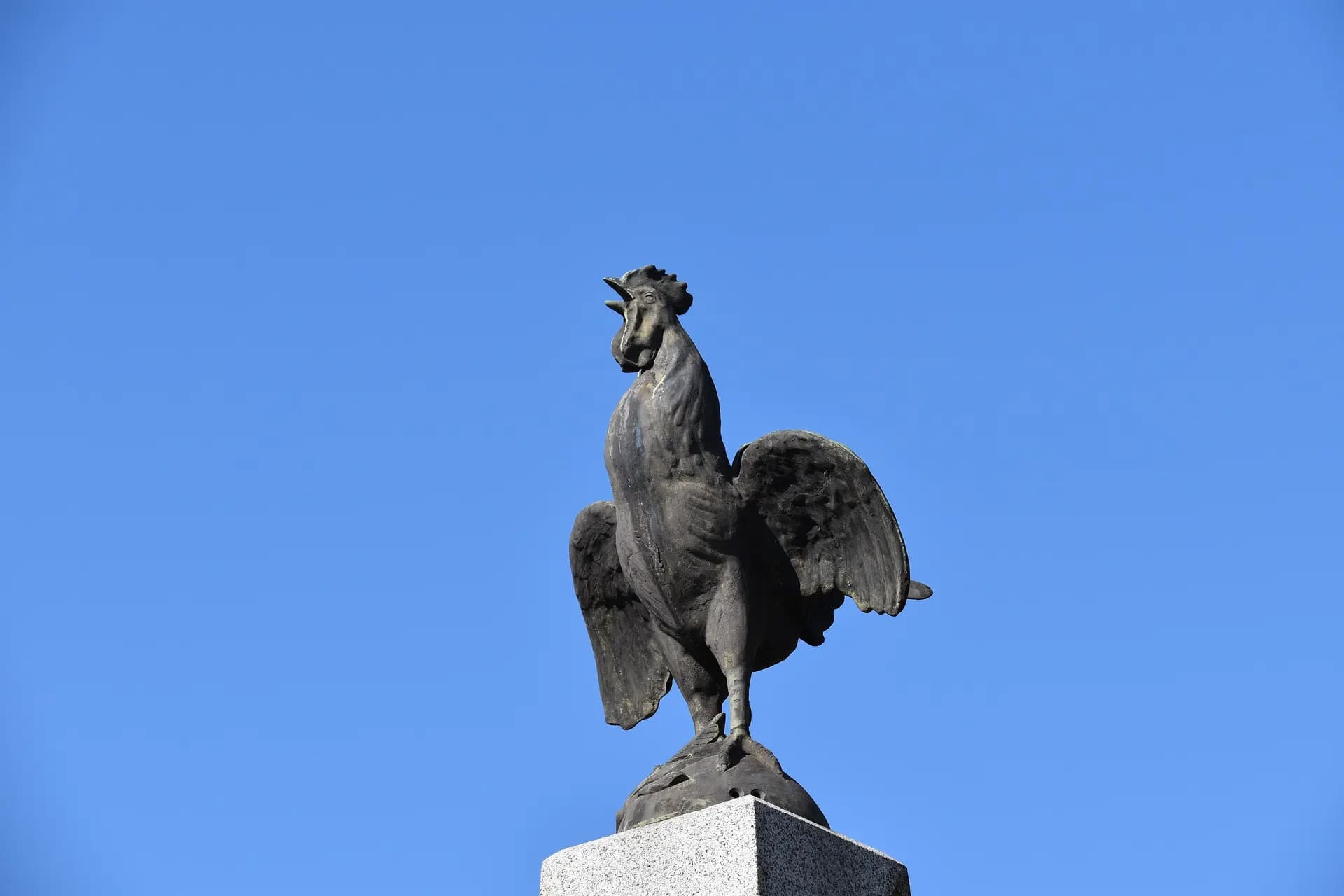 Coqworking Place du Coq Montauban